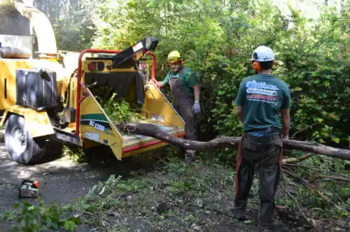 tree services Blue Island